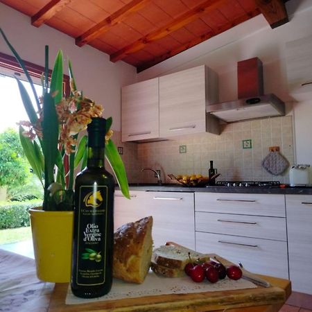 I Cavalleggeri Βίλα Castagneto Carducci Εξωτερικό φωτογραφία